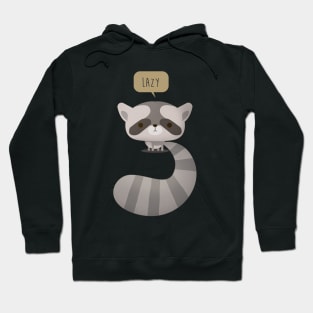 Little Furry Friends - Raccoon Hoodie